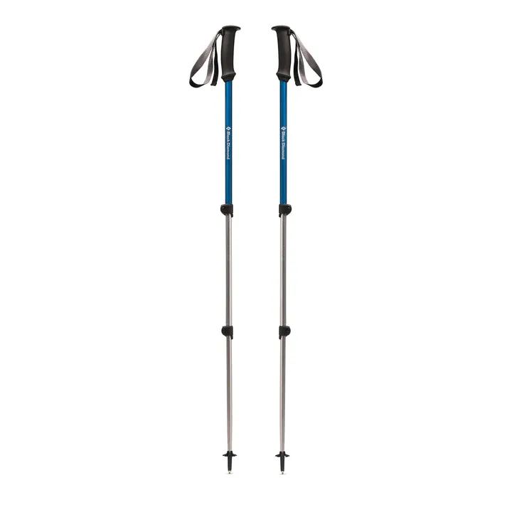 Black Diamond Trail Explorer 3 Trekking Poles - Anthracite