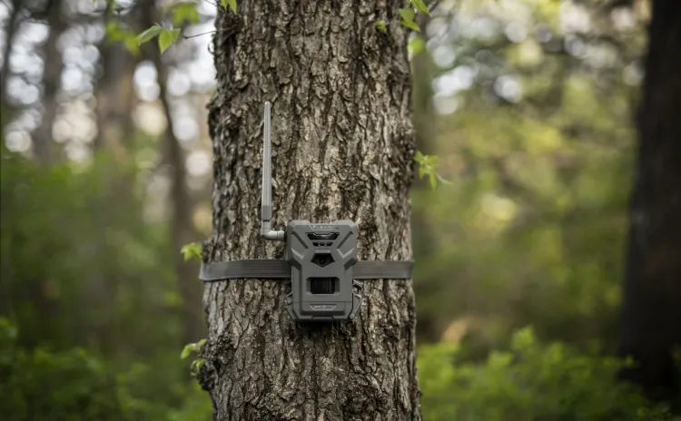 Spypoint Flex-M Cellular Trail Camera